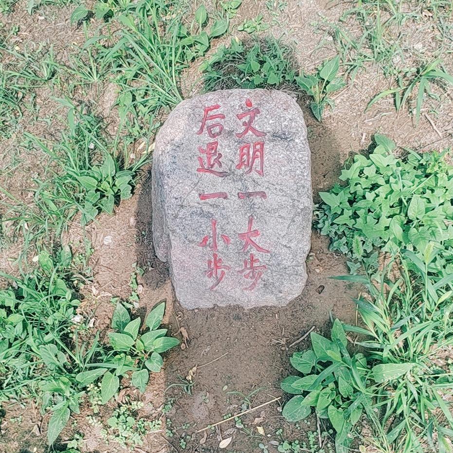 心情述说
