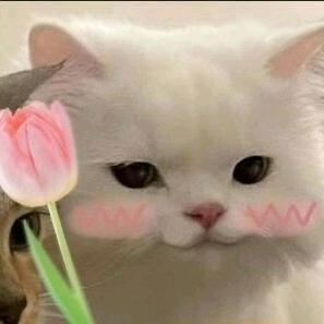 𝓛𝓾𝓬𝓴𝔂 ๑҉谪仙