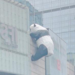 ಠ_ಠ天意