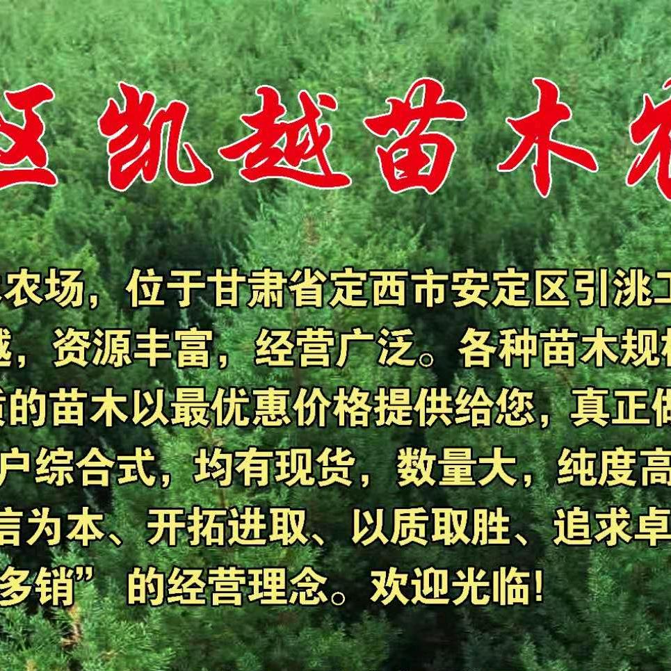 甘肃凯越苗木绿化云日常