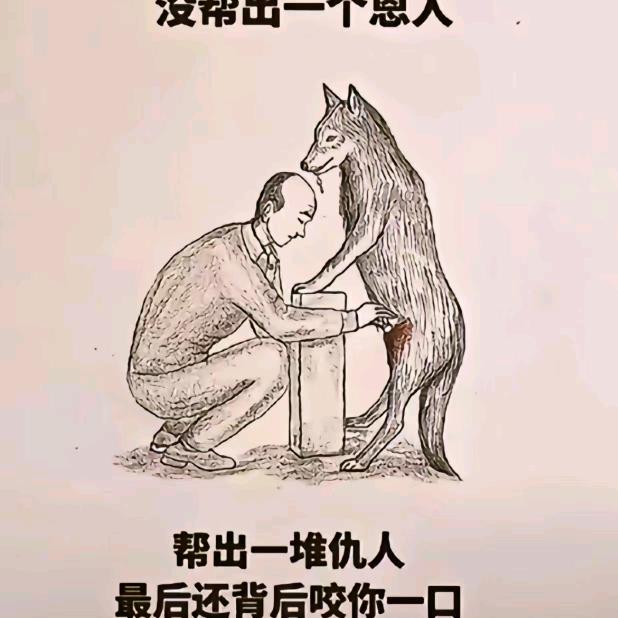 你好汪