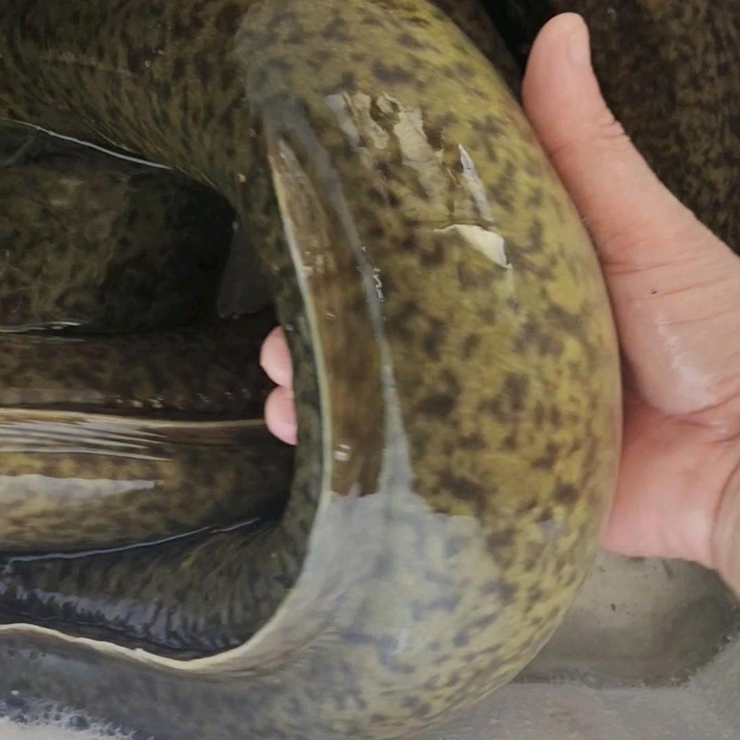 土特产
