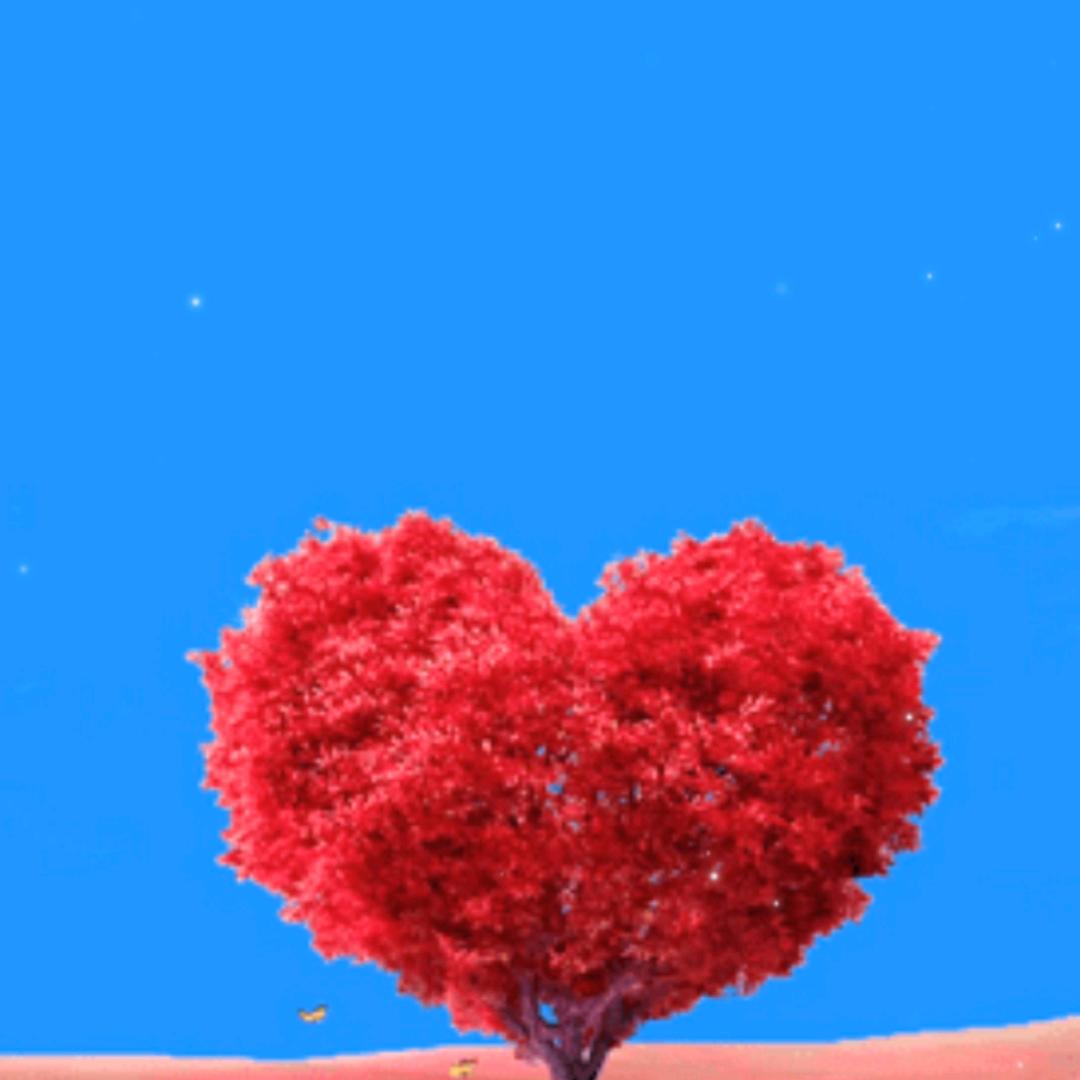 童心❤️