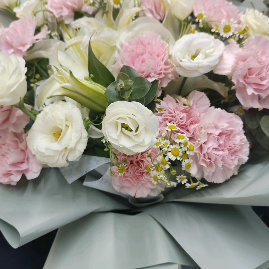 ，，，，，，小杨