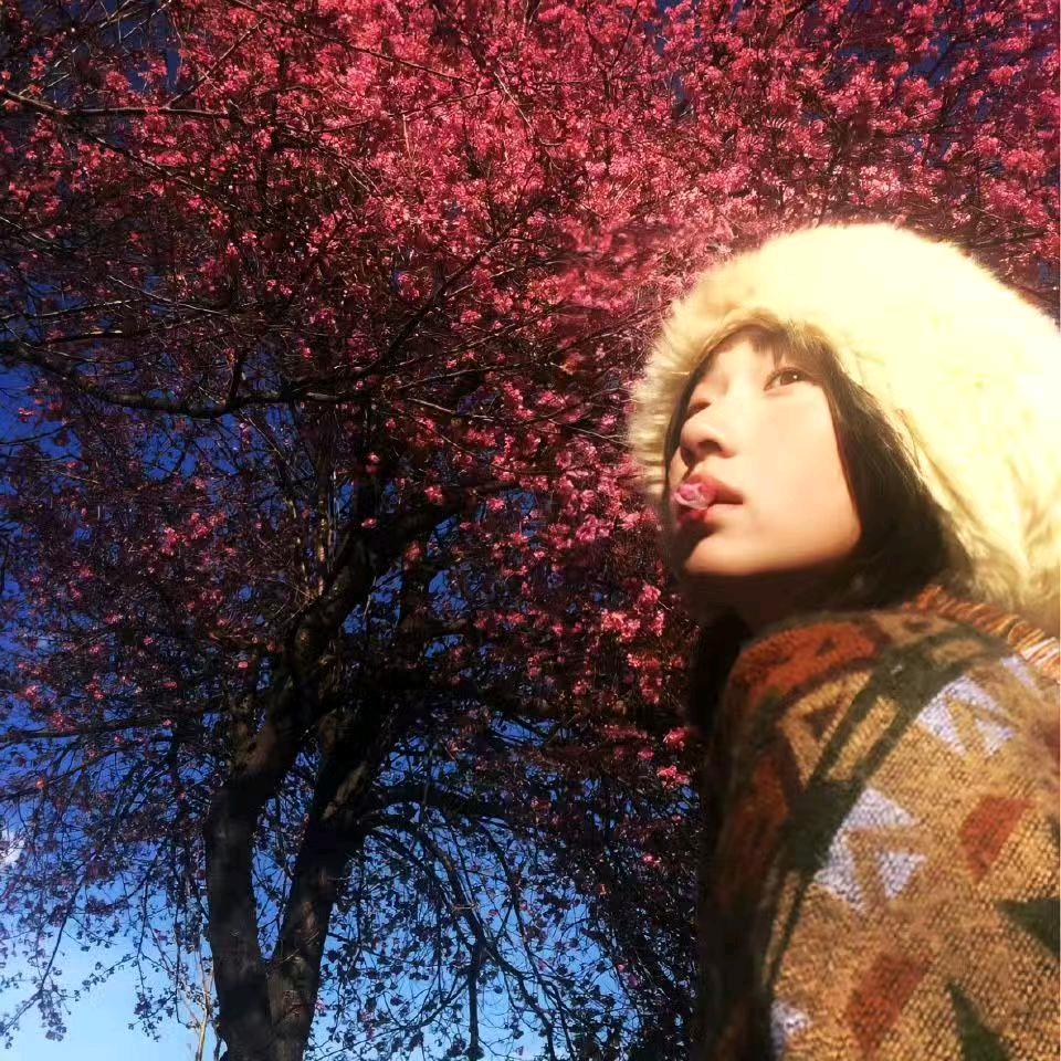 糖果🍬的每一天