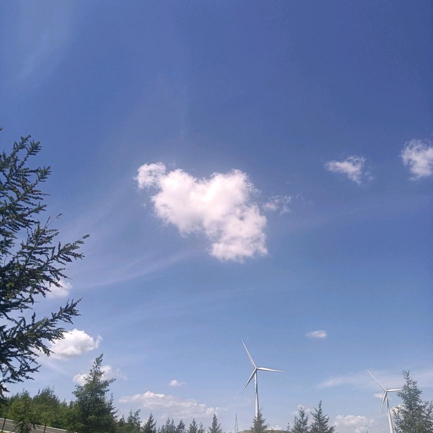 尼涵ZN66