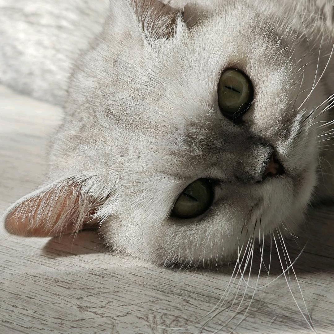 随随便便