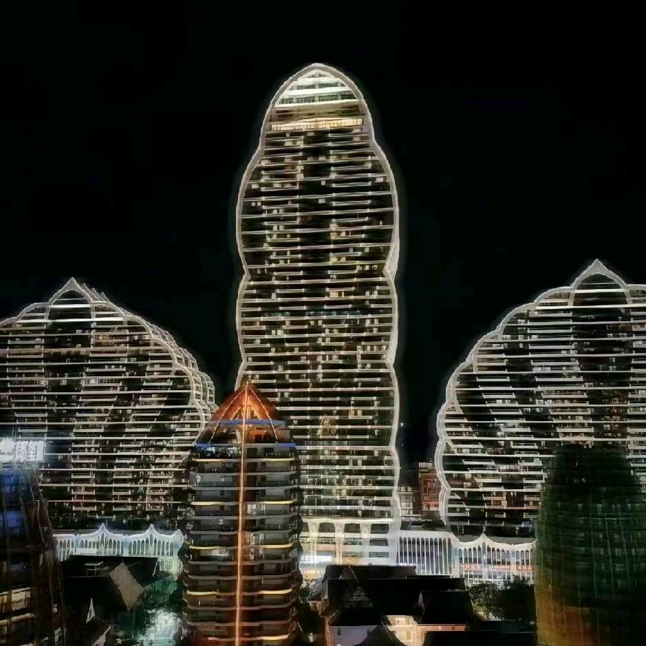 【上海鸣寅摩配】 DSF避震 冠峸总代
