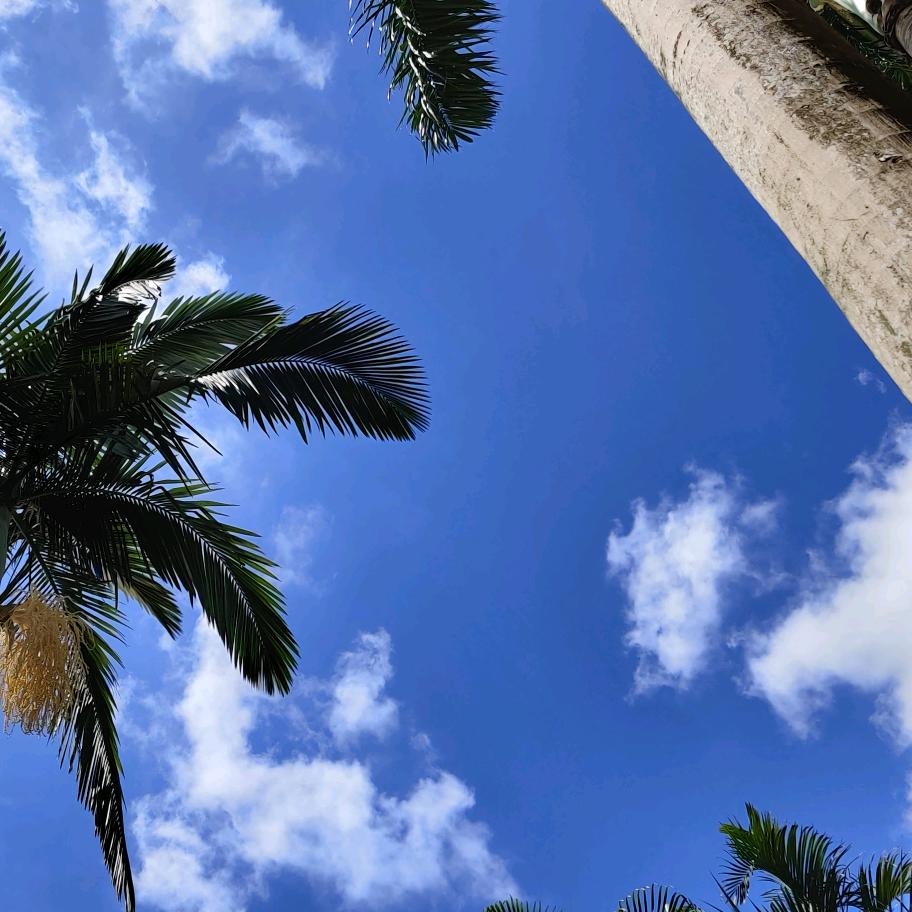 衡阳二手房黄科长