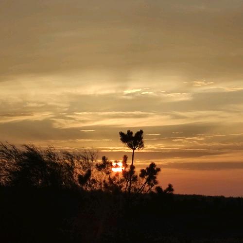 自闭选手烧茄子