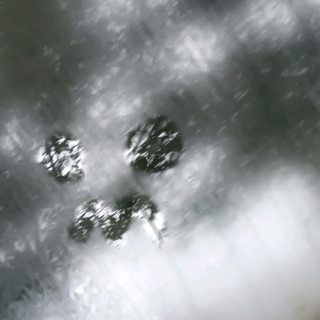 小鱼爱小猫猫.