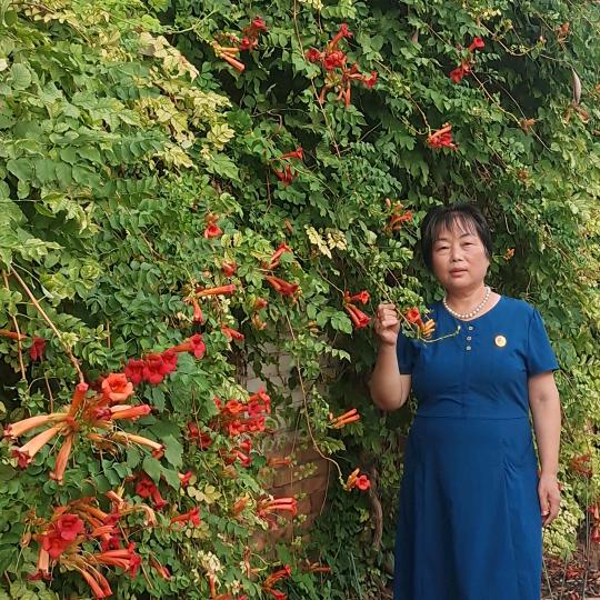 红白喜事，鲜花店