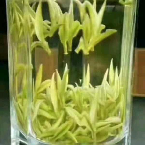 夏天的风景