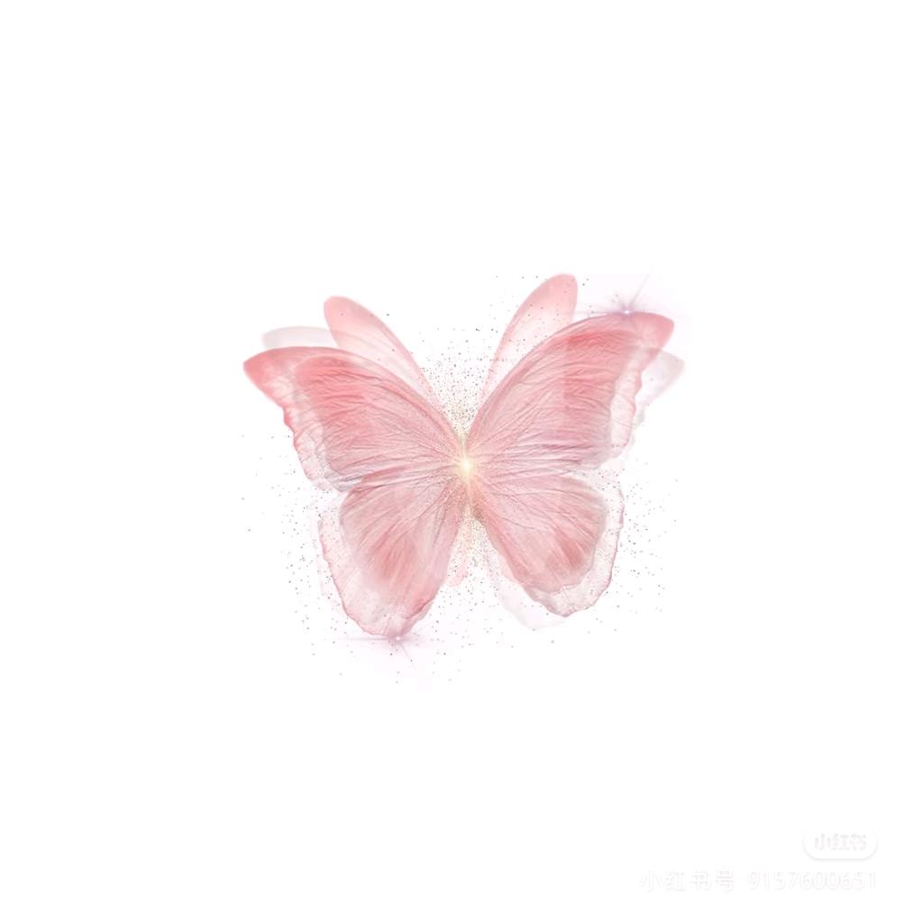 明日如诗