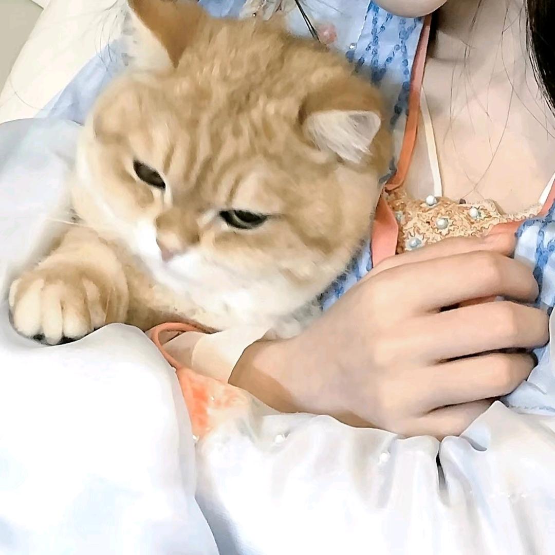 @晕了