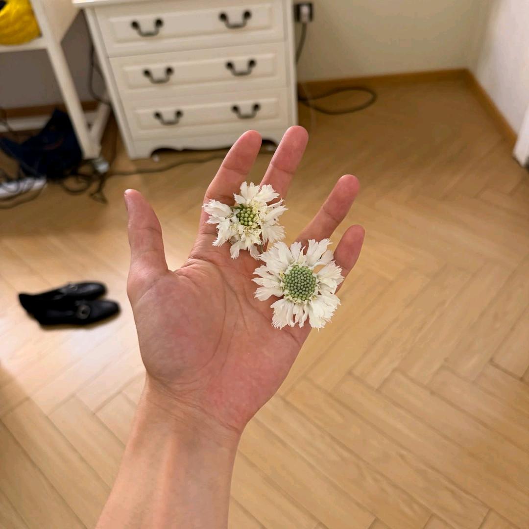 丙丁