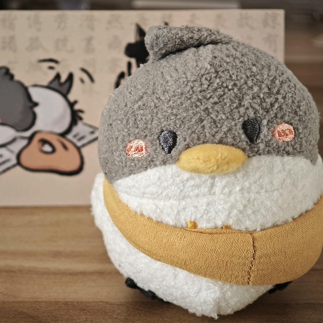 轻浅的来过你的光阴