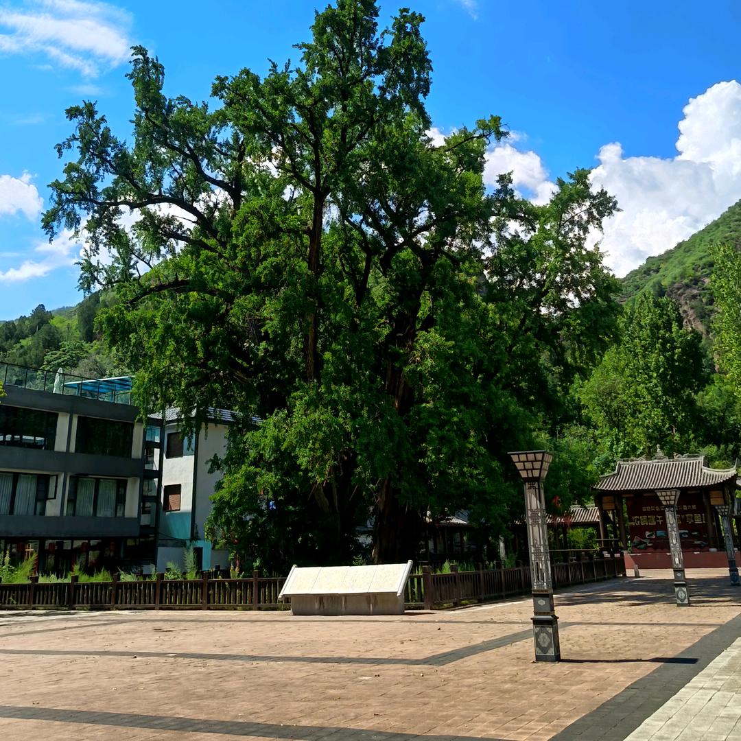 男人不能没有钱