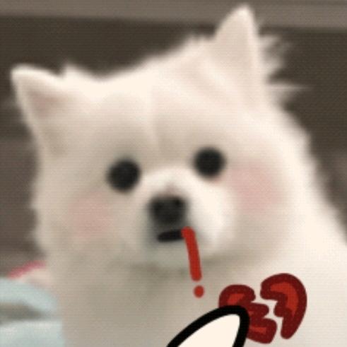小呆呆