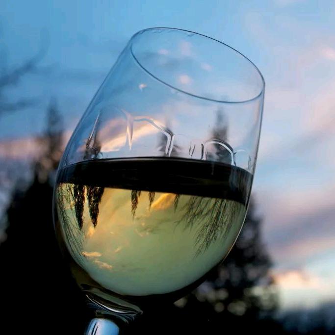 清晨里的一杯酒