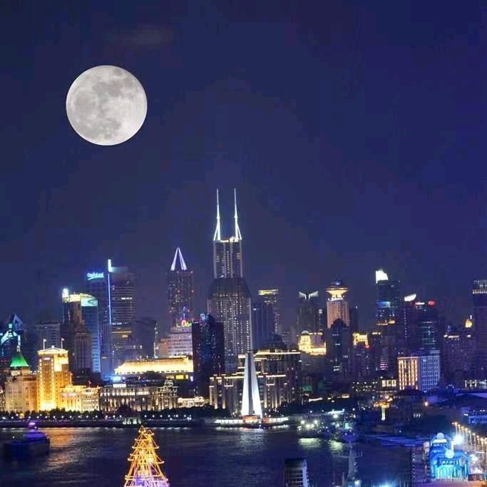 惜惜