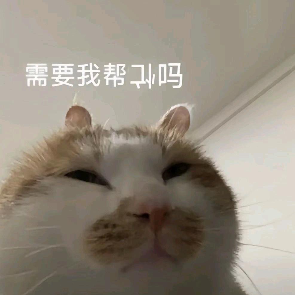 你仔细听