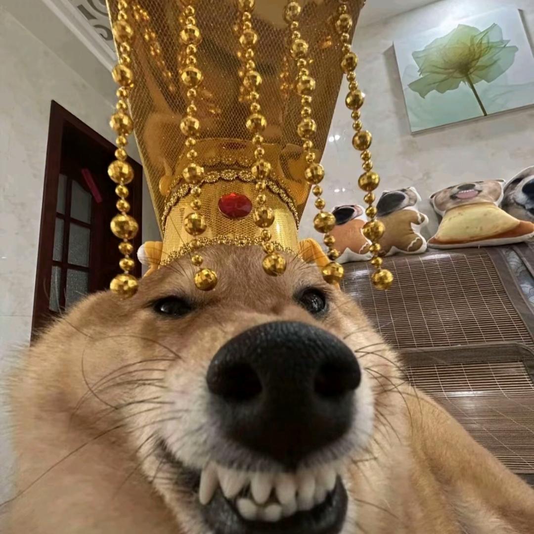 秋季与蝉鸣