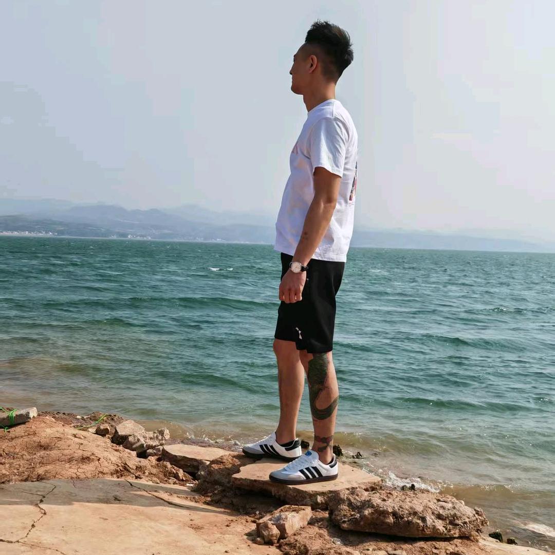 钢蛋gg
