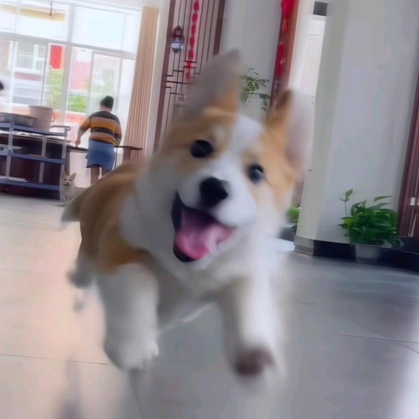 格温老师