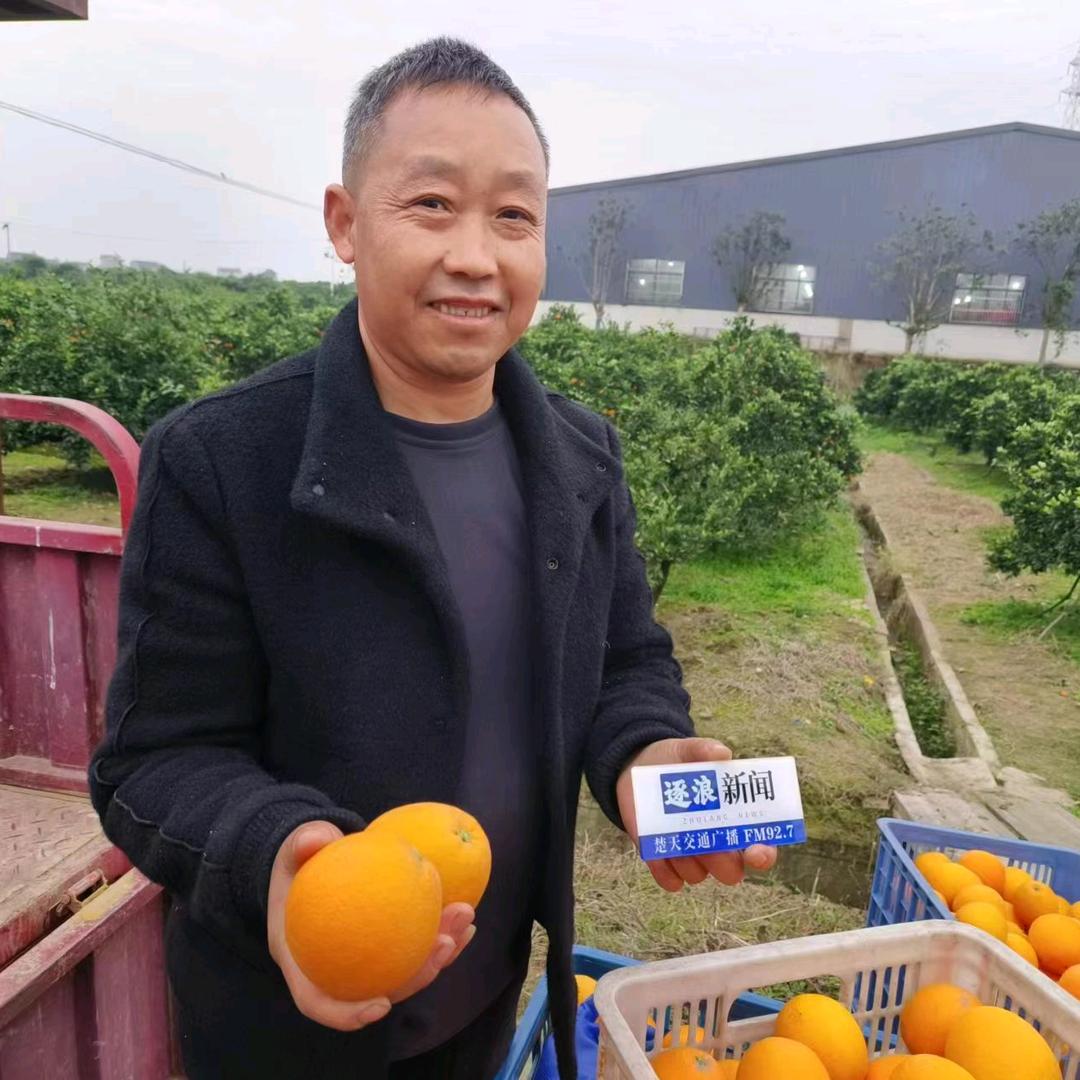宜昌脐橙谢哥