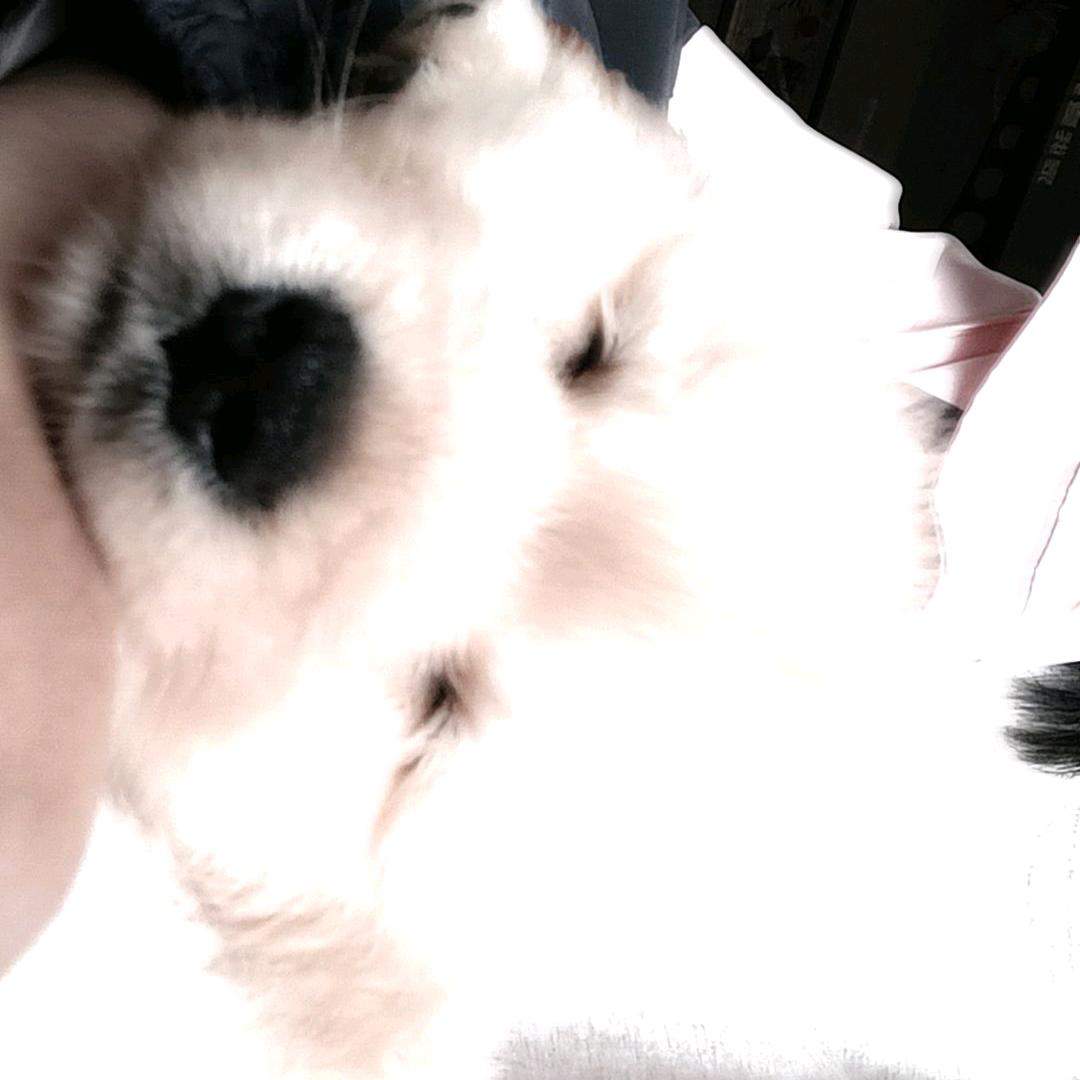 ❤ ~