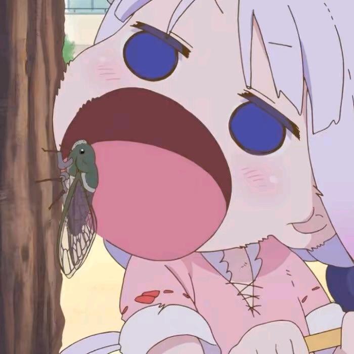 自恋的红色火龙果
