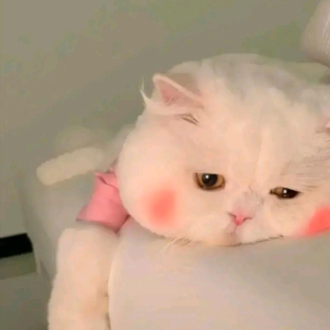 久久_