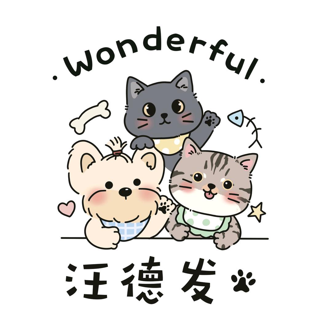 人类应该向猫看齐