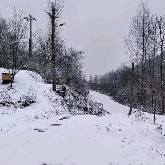 流浪的异乡人故事无法再写下去