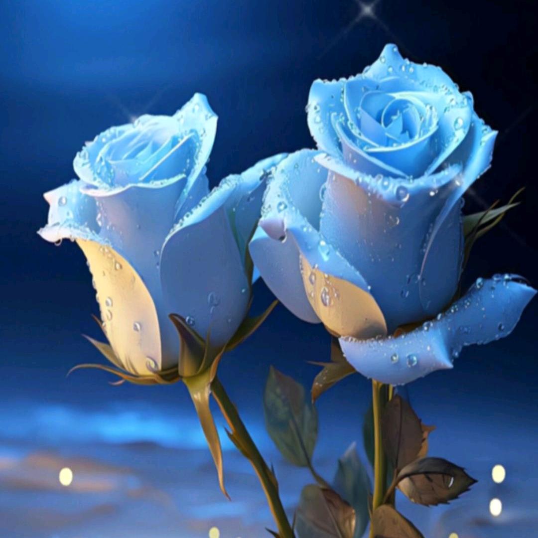 希望幸福的恋人