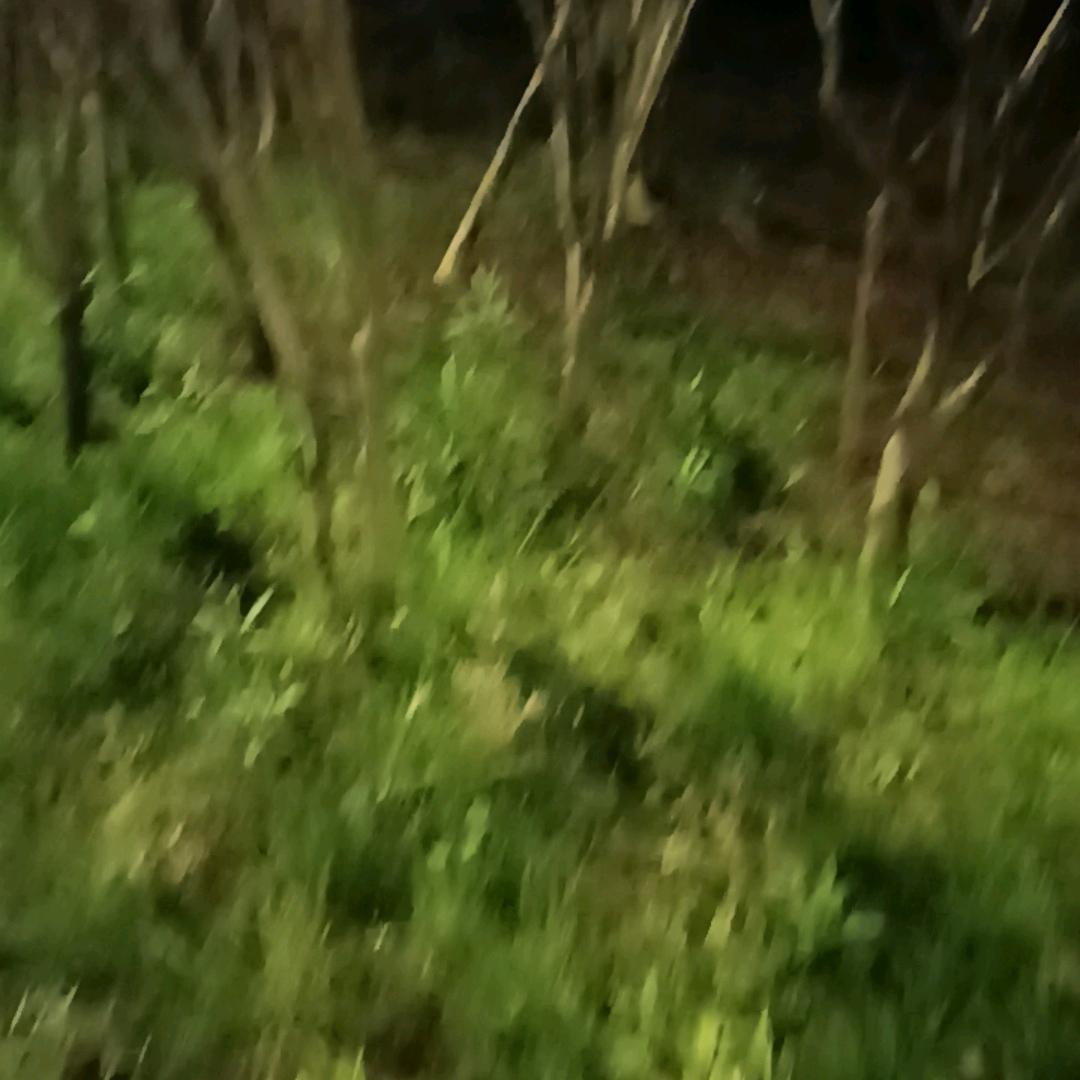 爱情走了心碎了