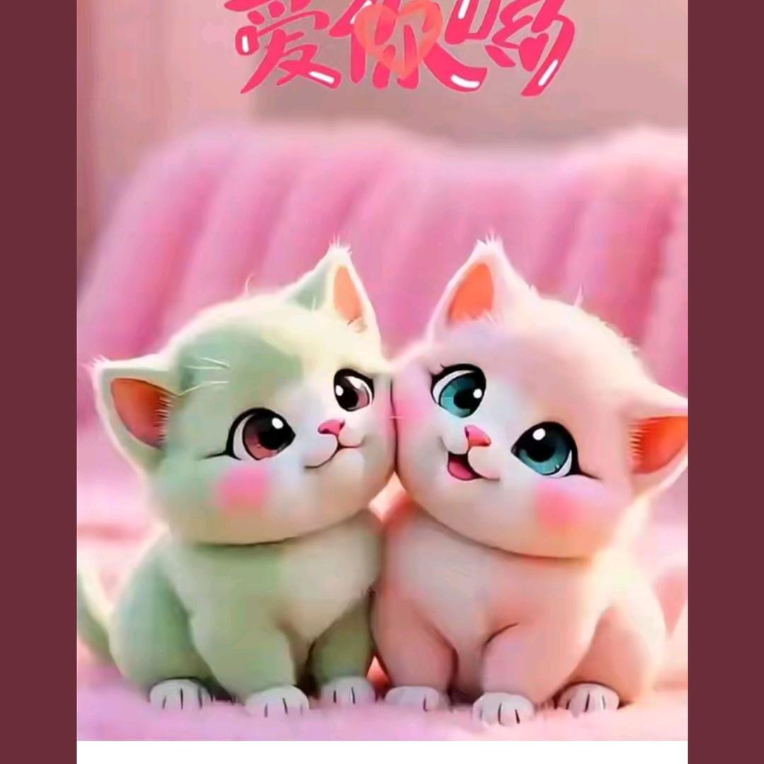 🌹🌹🌹丽🌹🌹🌹