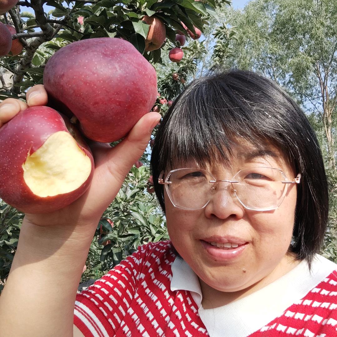 榆次老马家的苹果园