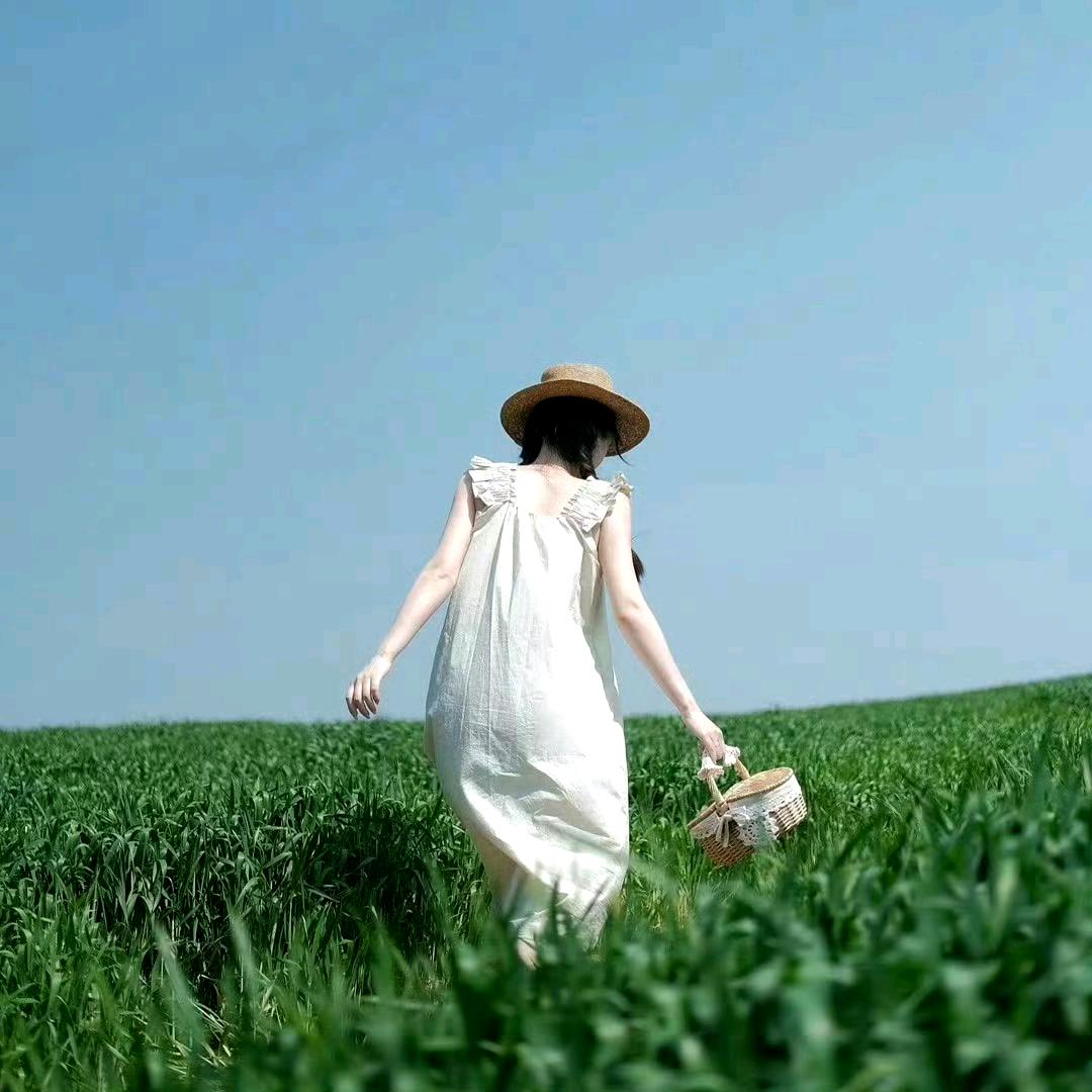 哒布了