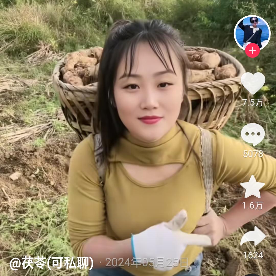 岩辉艺百货优选