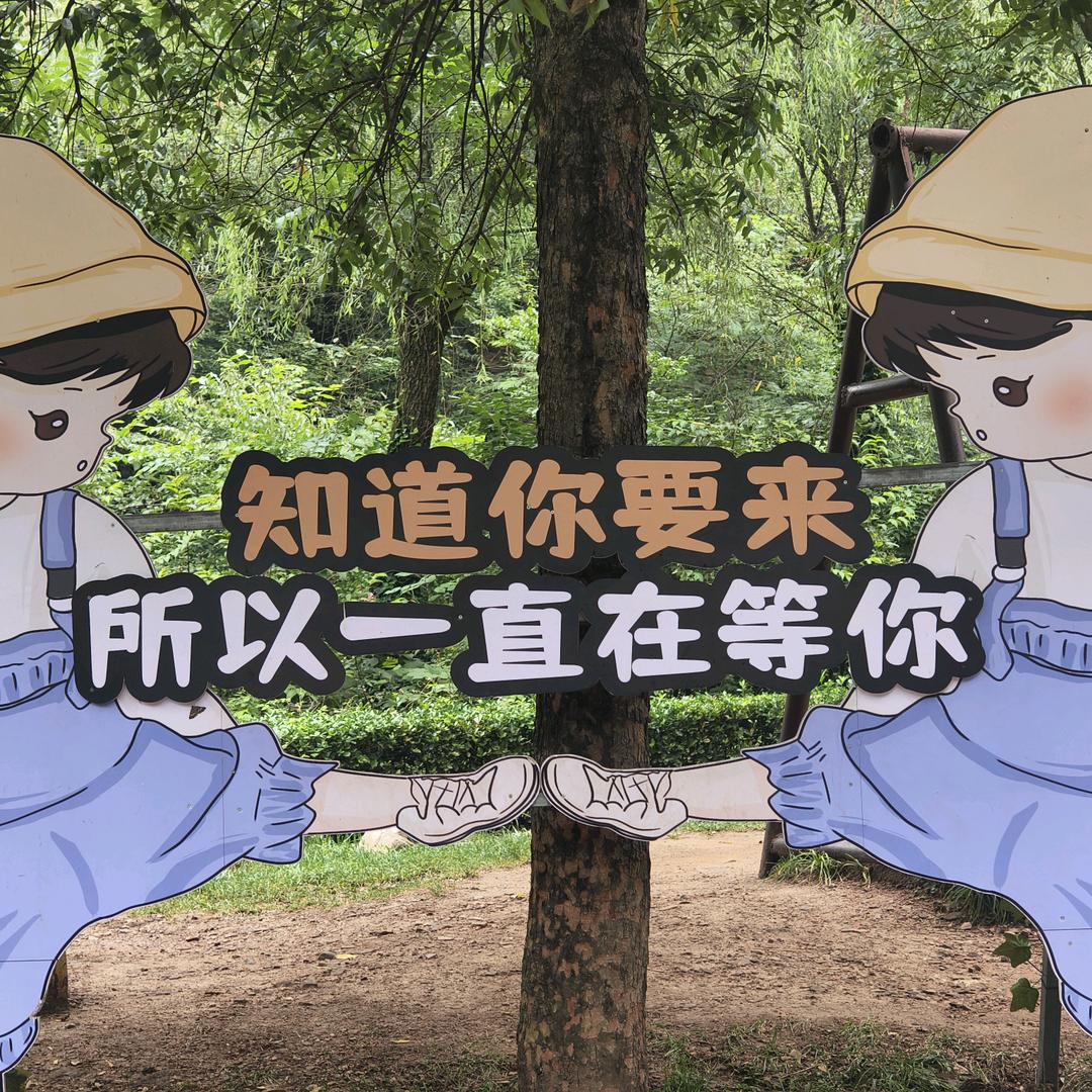 满格📶