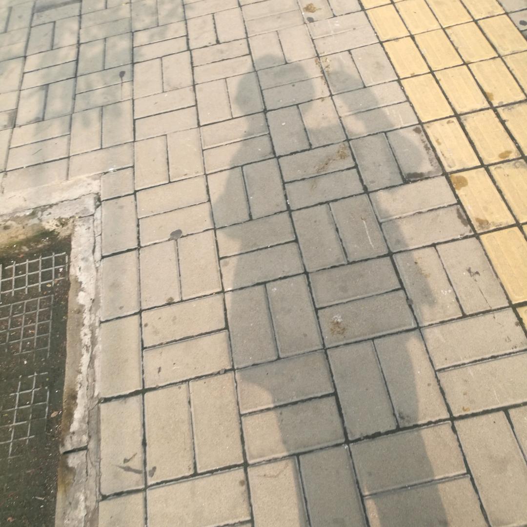 郭里有鱼