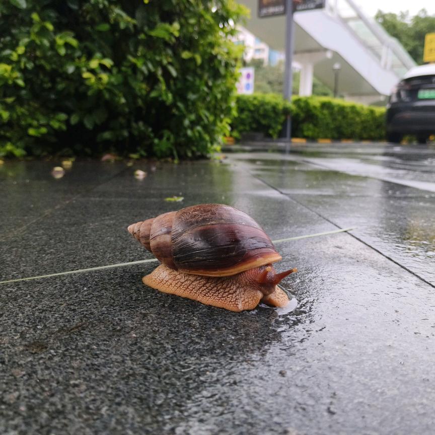 不要点我