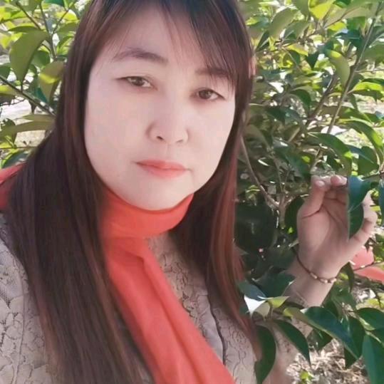 淮滨平姐♥♥🌸🌸