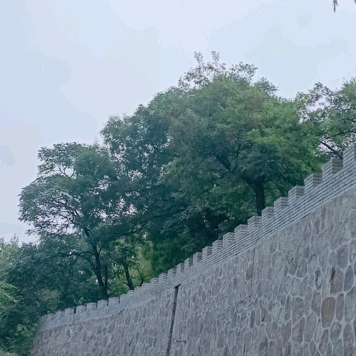轩宝