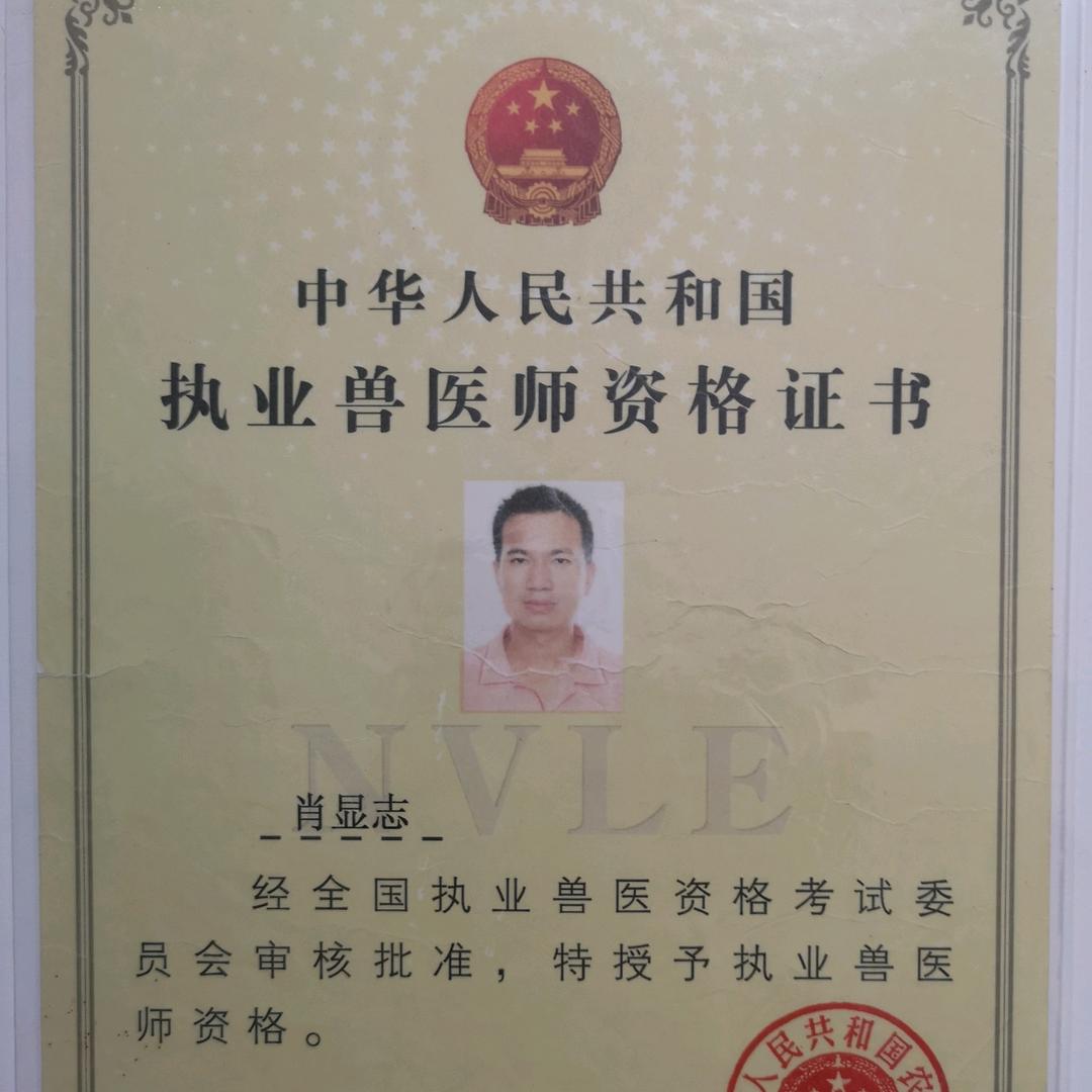 肖哥的兽医院