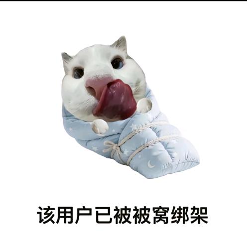 炫酷小猫咪