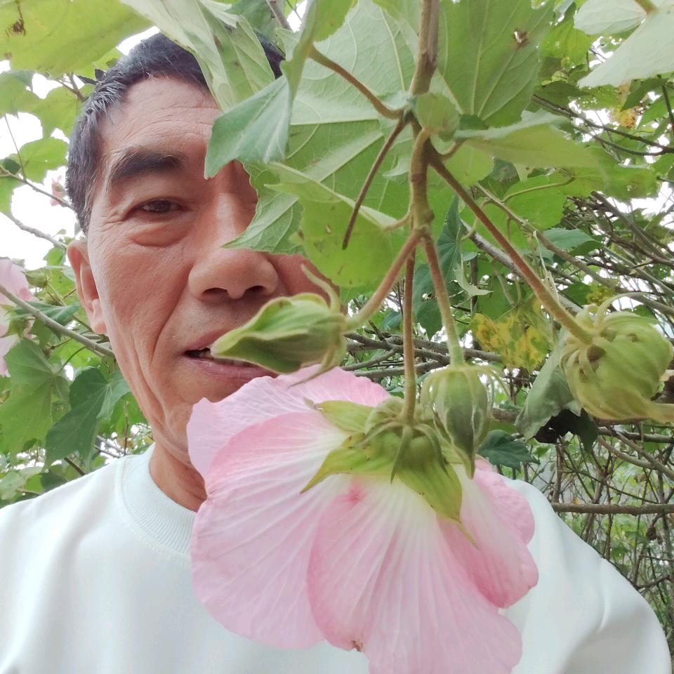 顺风