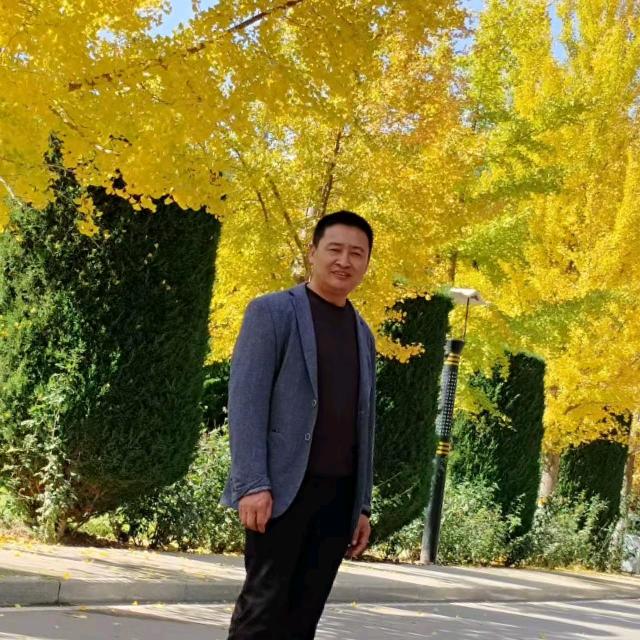 开心果专业贴砖